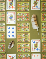 Playing Cards Book Box Set: Woodland Wonders