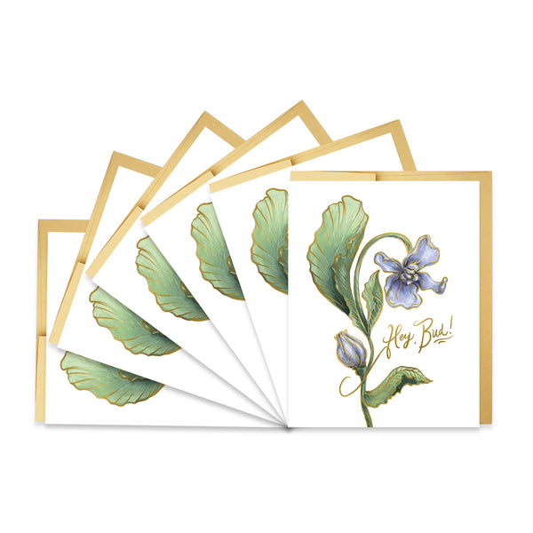 Hey Bud - Boxed Set of Six