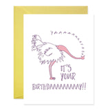 YAS Ostrich Birthday