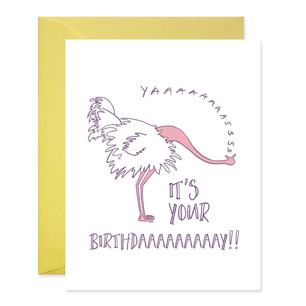 YAS Ostrich Birthday