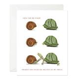 Out Of My Shell