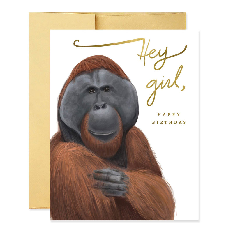Hey Girl (Orangutan) Birthday