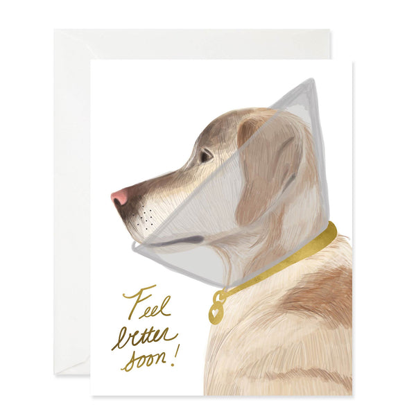 Feel Better Doggie
