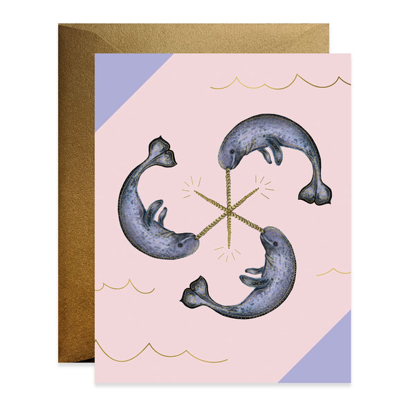 Narwhal Circle - Boxed Set of Six