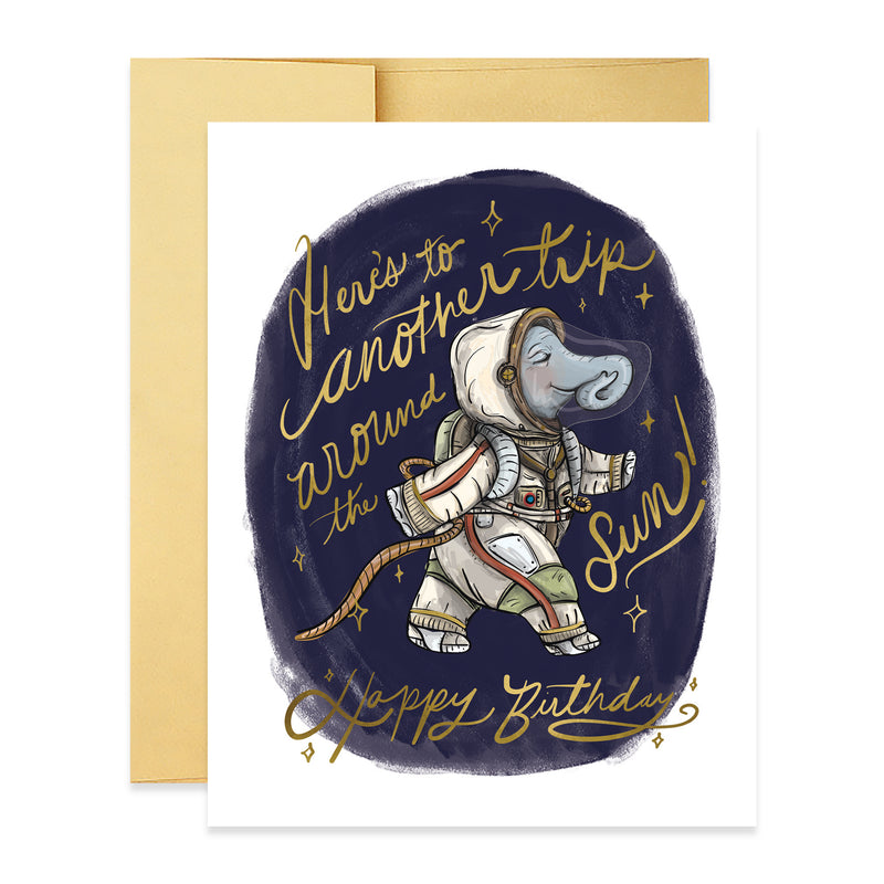 Astronaut Ellie Birthday