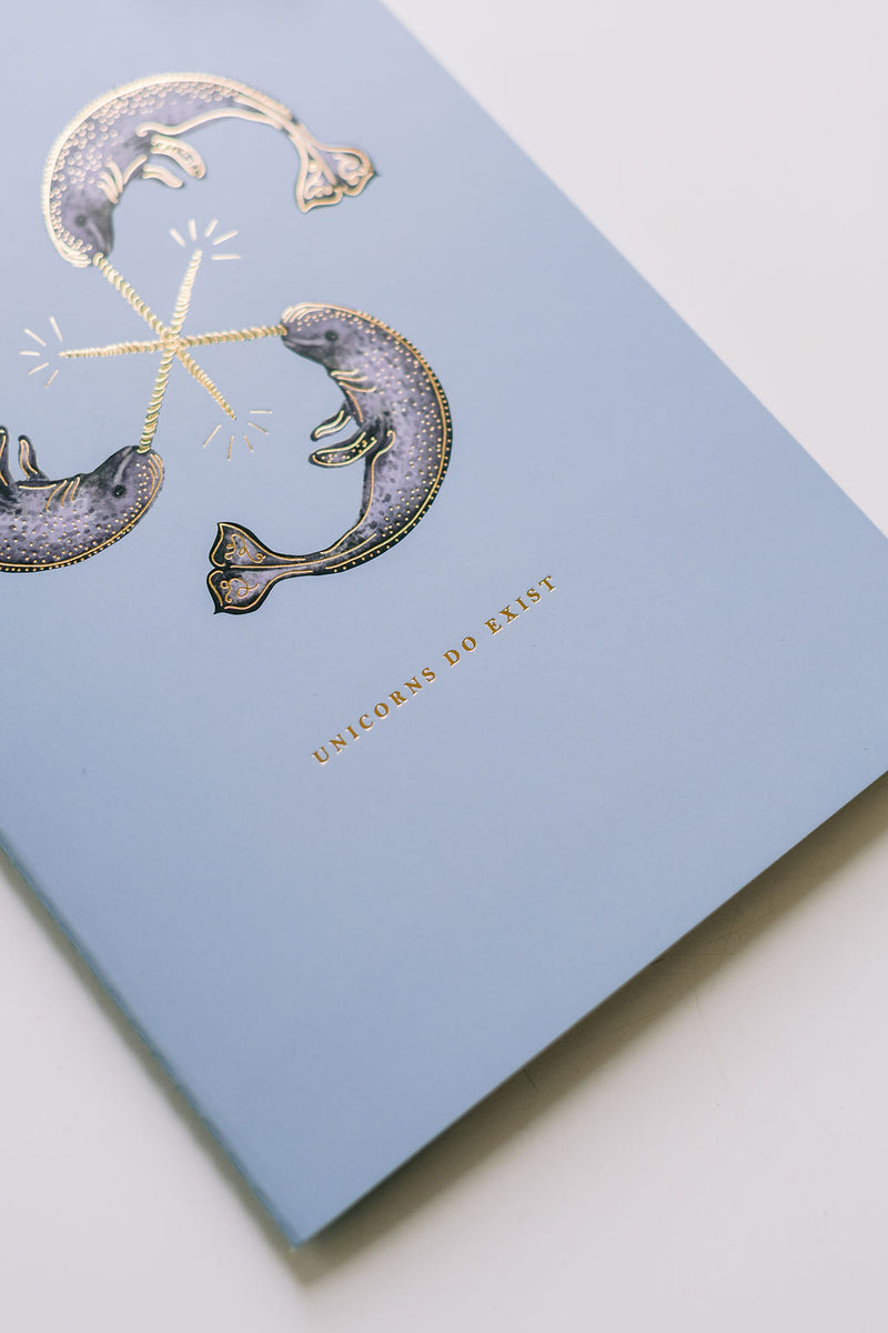 Narwhal Notebook Duo