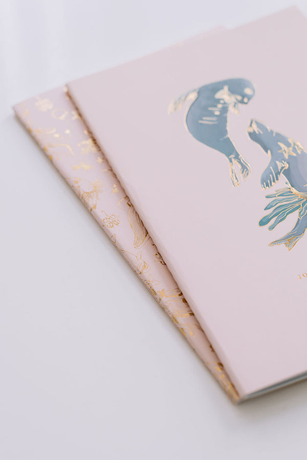 Joyful Seals Notebook Duo