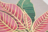 Nouveau Poinsettia - Boxed Set of Six