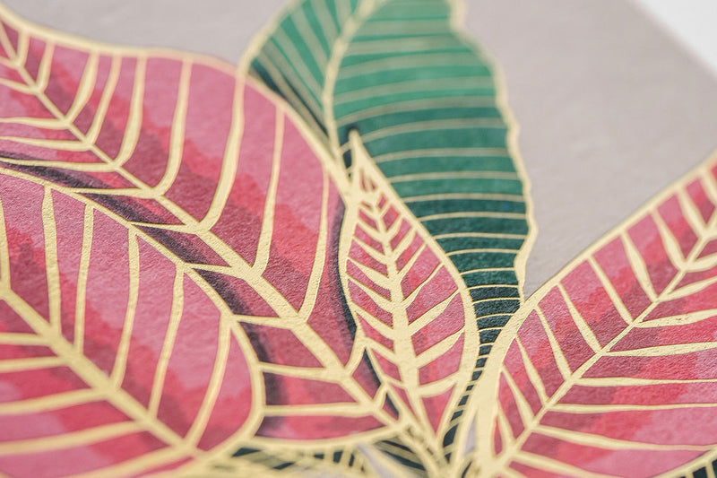 Nouveau Poinsettia - Boxed Set of Six