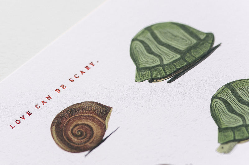 Out Of My Shell