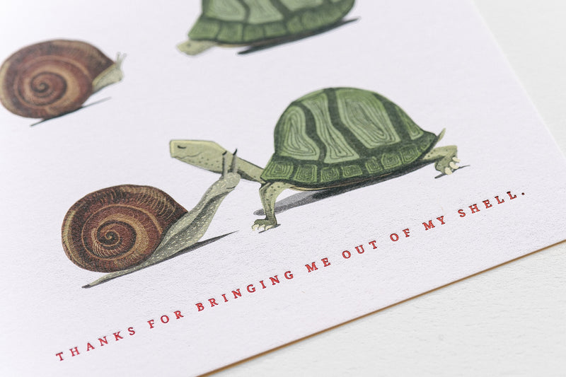 Out Of My Shell