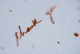 Speckled Thank You - Boxed Set of Six
