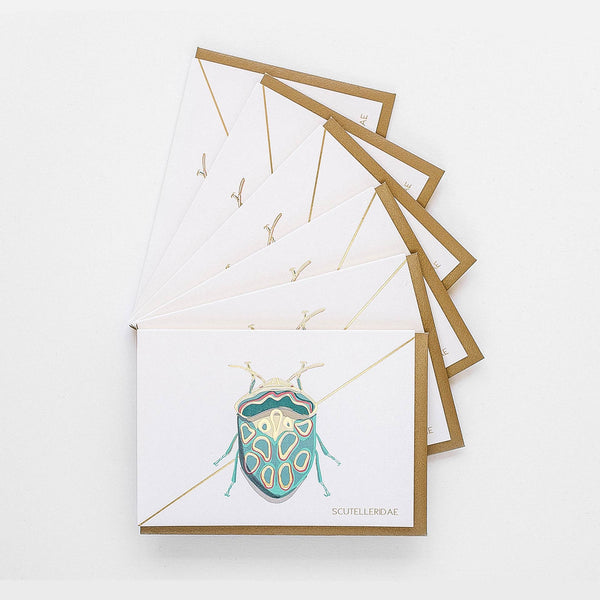 Teal Beetle Stationery - Boxed Set of Six