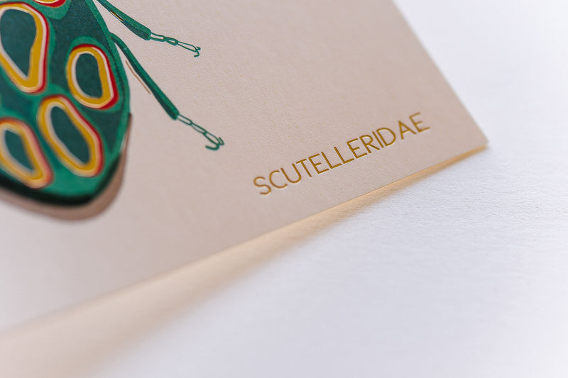 Teal Beetle Stationery