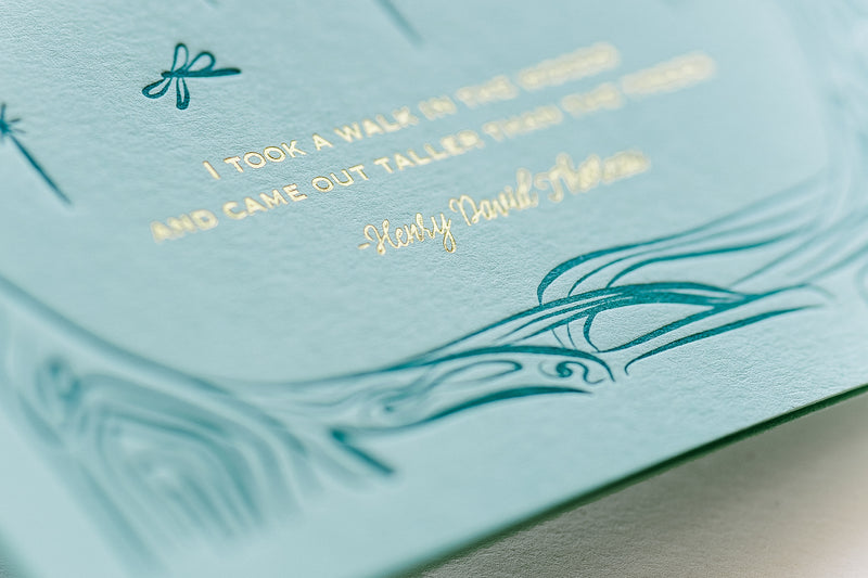 Walk in the Woods Stationery - Boxed Set of Six