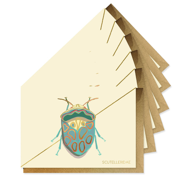 Teal Beetle Stationery - Boxed Set of Six